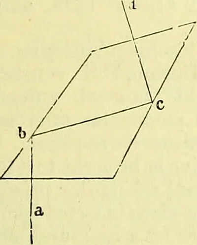 An illustration from The microscope : its history, construction, and application, being a familiar introduction to the use of the instrument, and the study of microscopical science / by Jabez Hogg ; with upwards of five hundred engravings, and coloured illustrations by Tuffen West., 1883, leaf 147