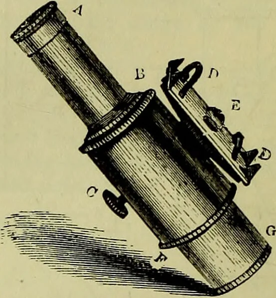 An illustration from The microscope : its history, construction, and application, being a familiar introduction to the use of the instrument, and the study of microscopical science / by Jabez Hogg ; with upwards of five hundred engravings, and coloured illustrations by Tuffen West., 1883, leaf 152
