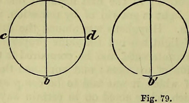 An illustration from The microscope : its history, construction, and application, being a familiar introduction to the use of the instrument, and the study of microscopical science / by Jabez Hogg ; with upwards of five hundred engravings, and coloured illustrations by Tuffen West., 1883, leaf 160