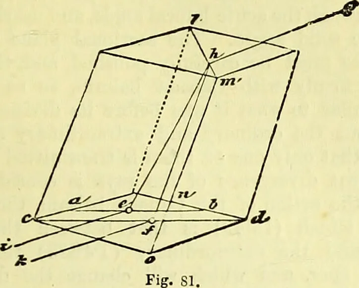 An illustration from The microscope : its history, construction, and application, being a familiar introduction to the use of the instrument, and the study of microscopical science / by Jabez Hogg ; with upwards of five hundred engravings, and coloured illustrations by Tuffen West., 1883, leaf 163