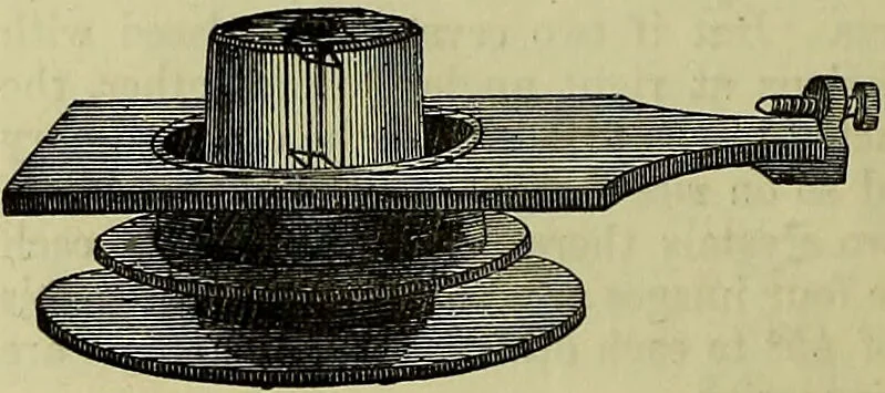 An illustration from The microscope : its history, construction, and application, being a familiar introduction to the use of the instrument, and the study of microscopical science / by Jabez Hogg ; with upwards of five hundred engravings, and coloured illustrations by Tuffen West., 1883, leaf 164