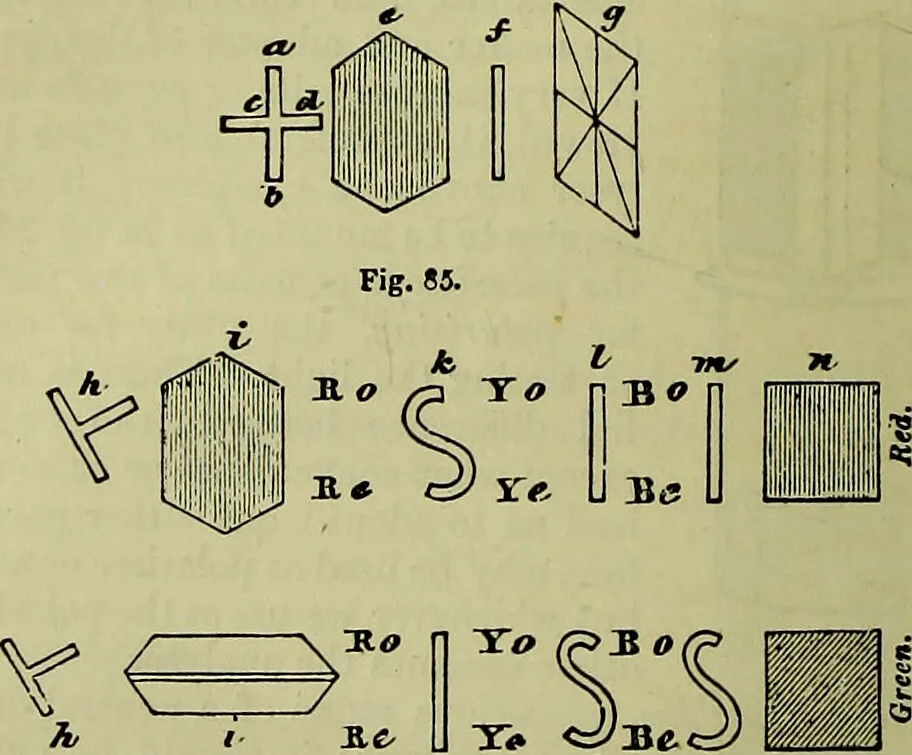 An illustration from The microscope : its history, construction, and application, being a familiar introduction to the use of the instrument, and the study of microscopical science / by Jabez Hogg ; with upwards of five hundred engravings, and coloured illustrations by Tuffen West., 1883, leaf 166