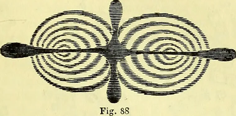 An illustration from The microscope : its history, construction, and application, being a familiar introduction to the use of the instrument, and the study of microscopical science / by Jabez Hogg ; with upwards of five hundred engravings, and coloured illustrations by Tuffen West., 1883, leaf 175