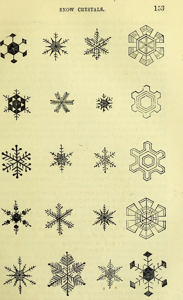 An illustration from The microscope : its history, construction, and application, being a familiar introduction to the use of the instrument, and the study of microscopical science / by Jabez Hogg ; with upwards of five hundred engravings, and coloured illustrations by Tuffen West., 1883, leaf 179