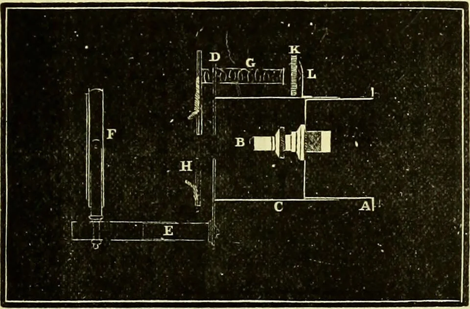 An illustration from The microscope : its history, construction, and application, being a familiar introduction to the use of the instrument, and the study of microscopical science / by Jabez Hogg ; with upwards of five hundred engravings, and coloured illustrations by Tuffen West., 1883, leaf 185