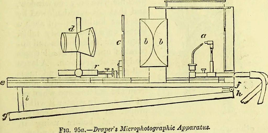 An illustration from The microscope : its history, construction, and application, being a familiar introduction to the use of the instrument, and the study of microscopical science / by Jabez Hogg ; with upwards of five hundred engravings, and coloured illustrations by Tuffen West., 1883, leaf 187
