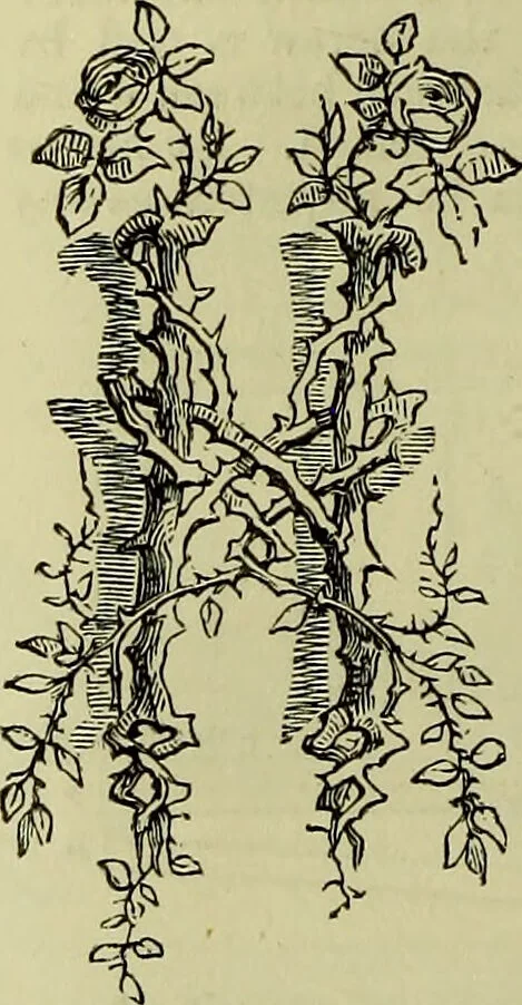 An illustration from The microscope : its history, construction, and application, being a familiar introduction to the use of the instrument, and the study of microscopical science / by Jabez Hogg ; with upwards of five hundred engravings, and coloured illustrations by Tuffen West., 1883, leaf 188