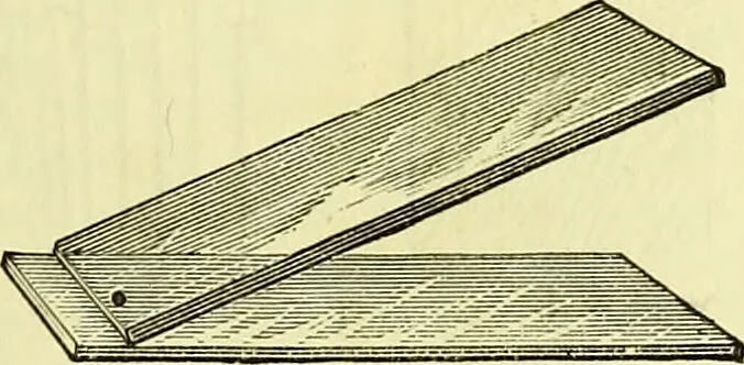 An illustration from The microscope : its history, construction, and application, being a familiar introduction to the use of the instrument, and the study of microscopical science / by Jabez Hogg ; with upwards of five hundred engravings, and coloured illustrations by Tuffen West., 1883, leaf 191