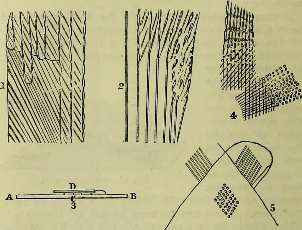 An illustration from The microscope : its history, construction, and application, being a familiar introduction to the use of the instrument, and the study of microscopical science / by Jabez Hogg ; with upwards of five hundred engravings, and coloured illustrations by Tuffen West., 1883, leaf 192