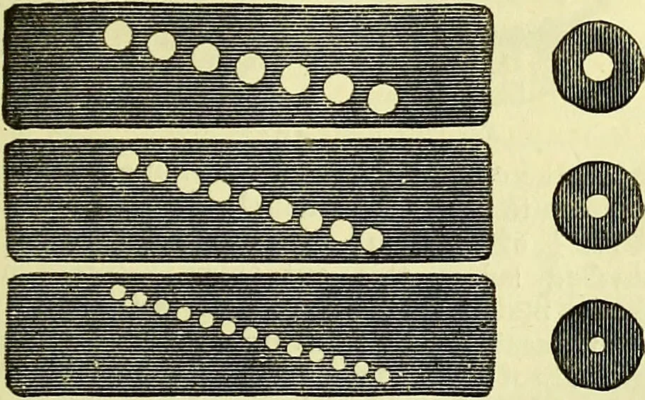 An illustration from The microscope : its history, construction, and application, being a familiar introduction to the use of the instrument, and the study of microscopical science / by Jabez Hogg ; with upwards of five hundred engravings, and coloured illustrations by Tuffen West., 1883, leaf 195