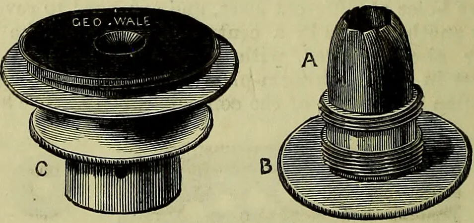 An illustration from The microscope : its history, construction, and application, being a familiar introduction to the use of the instrument, and the study of microscopical science / by Jabez Hogg ; with upwards of five hundred engravings, and coloured illustrations by Tuffen West., 1883, leaf 196