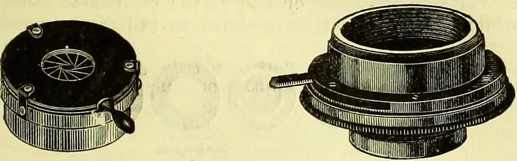 An illustration from The microscope : its history, construction, and application, being a familiar introduction to the use of the instrument, and the study of microscopical science / by Jabez Hogg ; with upwards of five hundred engravings, and coloured illustrations by Tuffen West., 1883, leaf 197