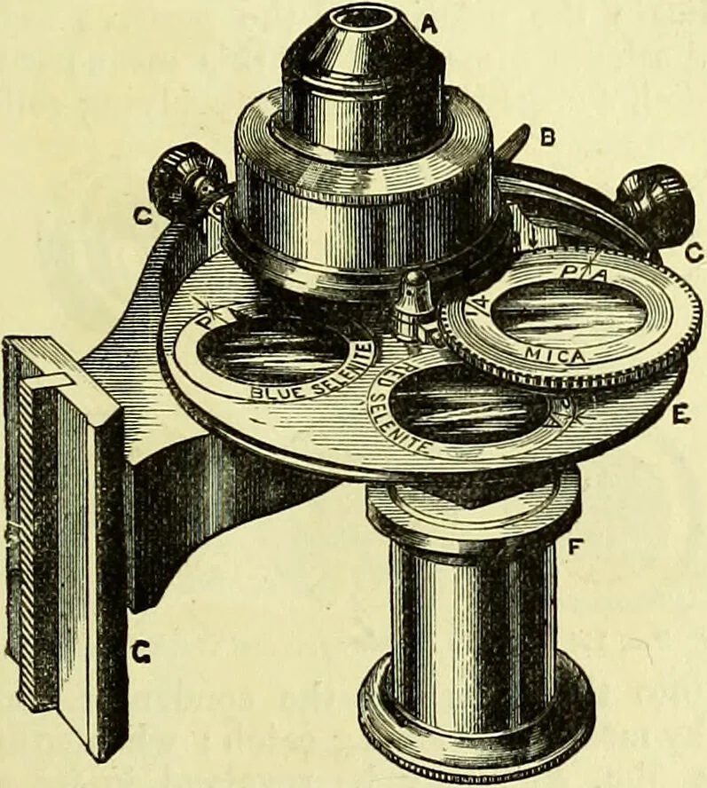 An illustration from The microscope : its history, construction, and application, being a familiar introduction to the use of the instrument, and the study of microscopical science / by Jabez Hogg ; with upwards of five hundred engravings, and coloured illustrations by Tuffen West., 1883, leaf 207