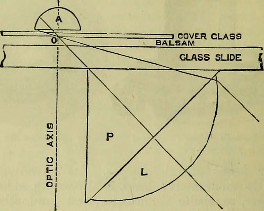 An illustration from The microscope : its history, construction, and application, being a familiar introduction to the use of the instrument, and the study of microscopical science / by Jabez Hogg ; with upwards of five hundred engravings, and coloured illustrations by Tuffen West., 1883, leaf 210