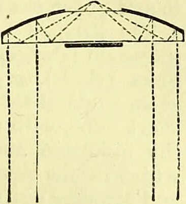 An illustration from The microscope : its history, construction, and application, being a familiar introduction to the use of the instrument, and the study of microscopical science / by Jabez Hogg ; with upwards of five hundred engravings, and coloured illustrations by Tuffen West., 1883, leaf 211
