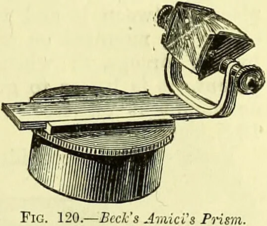 An illustration from The microscope : its history, construction, and application, being a familiar introduction to the use of the instrument, and the study of microscopical science / by Jabez Hogg ; with upwards of five hundred engravings, and coloured illustrations by Tuffen West., 1883, leaf 213