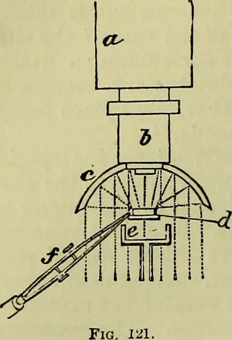 An illustration from The microscope : its history, construction, and application, being a familiar introduction to the use of the instrument, and the study of microscopical science / by Jabez Hogg ; with upwards of five hundred engravings, and coloured illustrations by Tuffen West., 1883, leaf 214