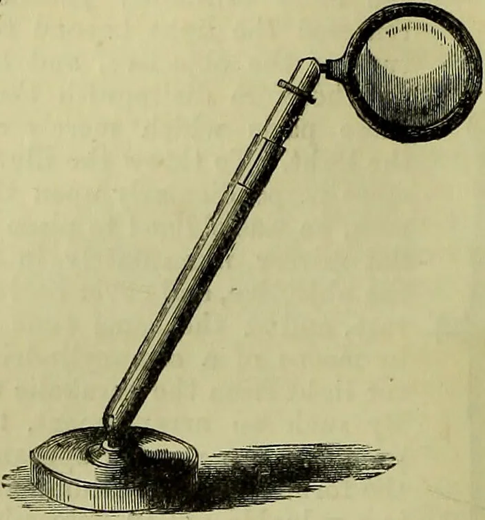 An illustration from The microscope : its history, construction, and application, being a familiar introduction to the use of the instrument, and the study of microscopical science / by Jabez Hogg ; with upwards of five hundred engravings, and coloured illustrations by Tuffen West., 1883, leaf 216