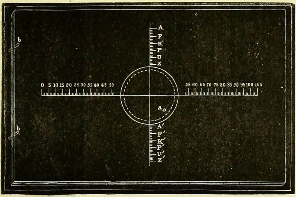 An illustration from The microscope : its history, construction, and application, being a familiar introduction to the use of the instrument, and the study of microscopical science / by Jabez Hogg ; with upwards of five hundred engravings, and coloured illustrations by Tuffen West., 1883, leaf 217