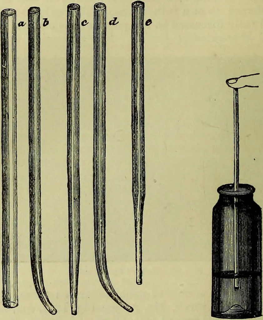 An illustration from The microscope : its history, construction, and application, being a familiar introduction to the use of the instrument, and the study of microscopical science / by Jabez Hogg ; with upwards of five hundred engravings, and coloured illustrations by Tuffen West., 1883, leaf 218