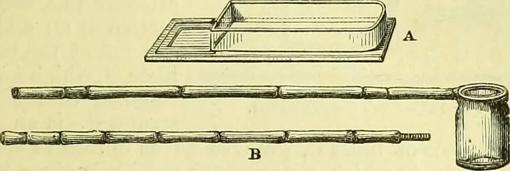 An illustration from The microscope : its history, construction, and application, being a familiar introduction to the use of the instrument, and the study of microscopical science / by Jabez Hogg ; with upwards of five hundred engravings, and coloured illustrations by Tuffen West., 1883, leaf 219