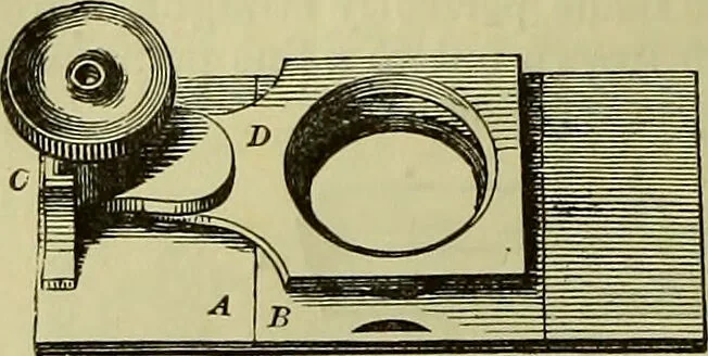 An illustration from The microscope : its history, construction, and application, being a familiar introduction to the use of the instrument, and the study of microscopical science / by Jabez Hogg ; with upwards of five hundred engravings, and coloured illustrations by Tuffen West., 1883, leaf 220