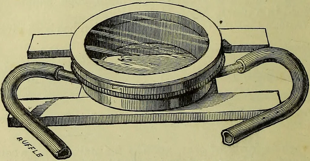 An illustration from The microscope : its history, construction, and application, being a familiar introduction to the use of the instrument, and the study of microscopical science / by Jabez Hogg ; with upwards of five hundred engravings, and coloured illustrations by Tuffen West., 1883, leaf 222