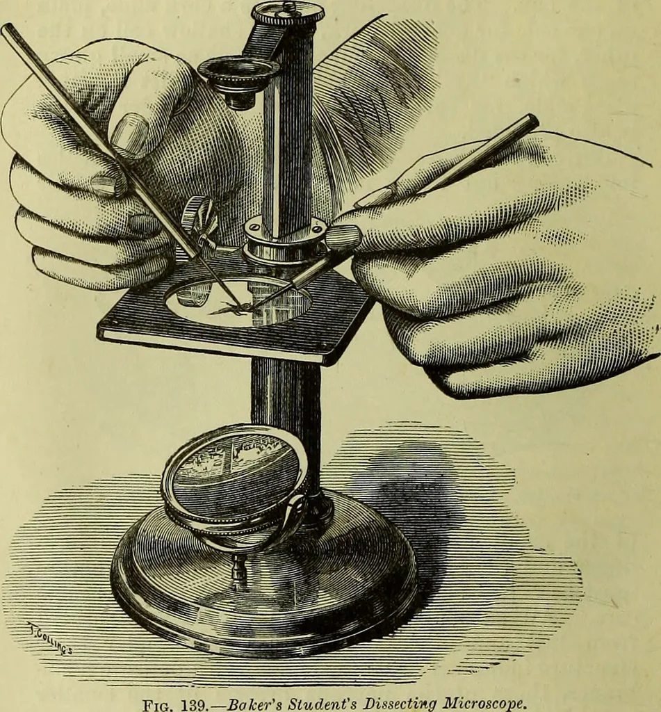 An illustration from The microscope : its history, construction, and application, being a familiar introduction to the use of the instrument, and the study of microscopical science / by Jabez Hogg ; with upwards of five hundred engravings, and coloured illustrations by Tuffen West., 1883, leaf 226