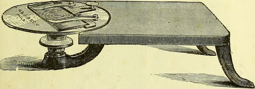 An illustration from The microscope : its history, construction, and application, being a familiar introduction to the use of the instrument, and the study of microscopical science / by Jabez Hogg ; with upwards of five hundred engravings, and coloured illustrations by Tuffen West., 1883, leaf 235