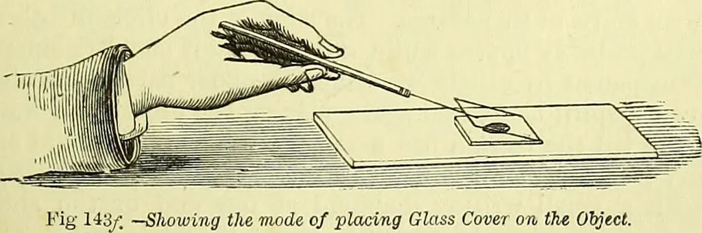 An illustration from The microscope : its history, construction, and application, being a familiar introduction to the use of the instrument, and the study of microscopical science / by Jabez Hogg ; with upwards of five hundred engravings, and coloured illustrations by Tuffen West., 1883, leaf 239