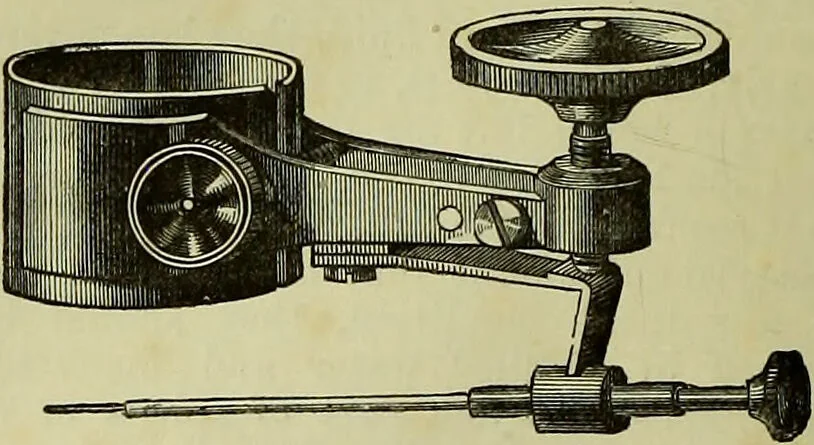 An illustration from The microscope : its history, construction, and application, being a familiar introduction to the use of the instrument, and the study of microscopical science / by Jabez Hogg ; with upwards of five hundred engravings, and coloured illustrations by Tuffen West., 1883, leaf 244