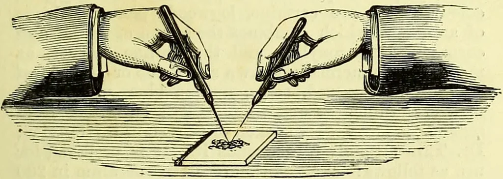An illustration from The microscope : its history, construction, and application, being a familiar introduction to the use of the instrument, and the study of microscopical science / by Jabez Hogg ; with upwards of five hundred engravings, and coloured illustrations by Tuffen West., 1883, leaf 251