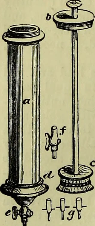 An illustration from The microscope : its history, construction, and application, being a familiar introduction to the use of the instrument, and the study of microscopical science / by Jabez Hogg ; with upwards of five hundred engravings, and coloured illustrations by Tuffen West., 1883, leaf 274