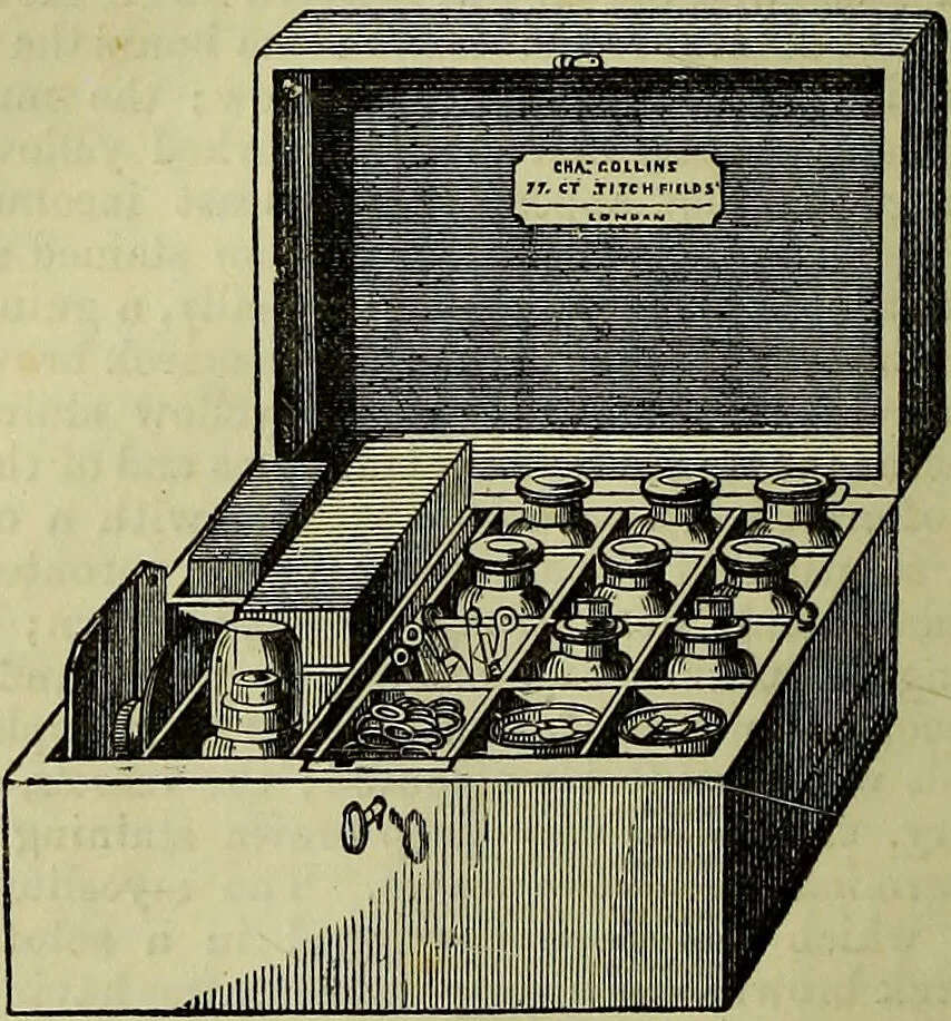 An illustration from The microscope : its history, construction, and application, being a familiar introduction to the use of the instrument, and the study of microscopical science / by Jabez Hogg ; with upwards of five hundred engravings, and coloured illustrations by Tuffen West., 1883, leaf 280