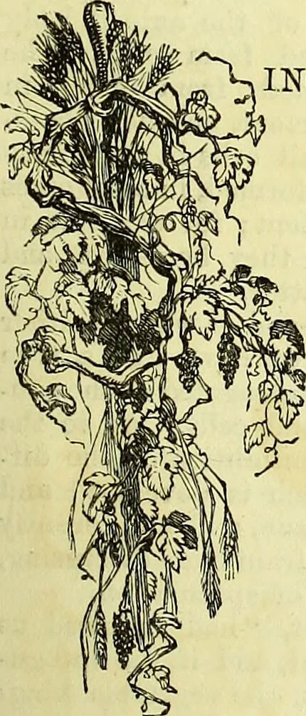 An illustration from The microscope : its history, construction, and application, being a familiar introduction to the use of the instrument, and the study of microscopical science / by Jabez Hogg ; with upwards of five hundred engravings, and coloured illustrations by Tuffen West., 1883, leaf 283