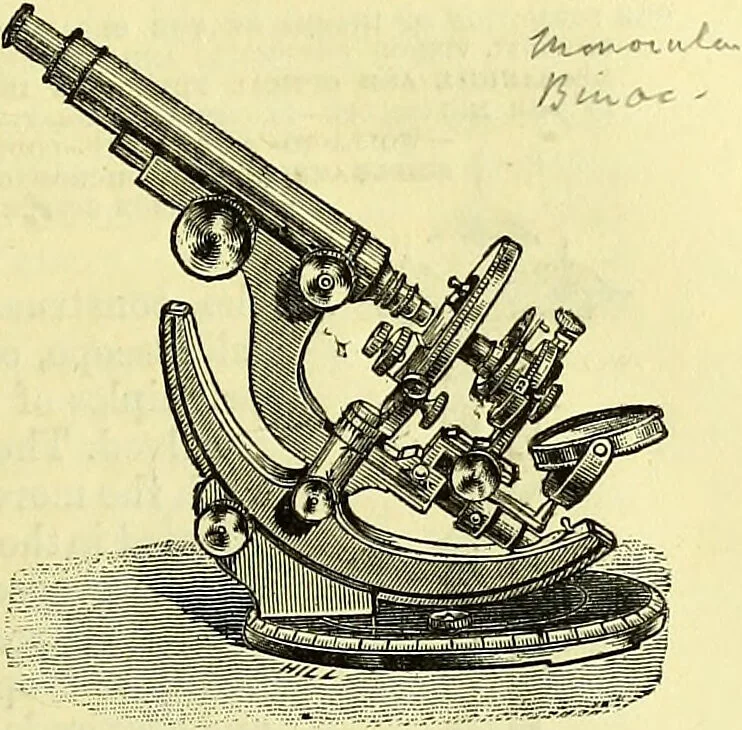 An illustration from The microscope : its history, construction, and application, being a familiar introduction to the use of the instrument, and the study of microscopical science / by Jabez Hogg ; with upwards of five hundred engravings, and coloured illustrations by Tuffen West., 1883, leaf 41