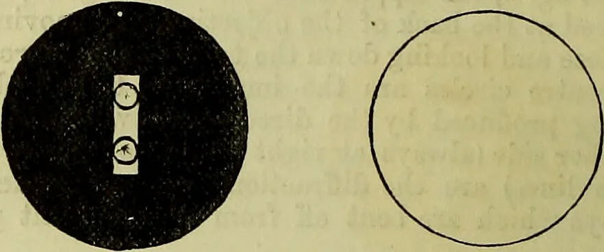 An illustration from The microscope : its history, construction, and application, being a familiar introduction to the use of the instrument, and the study of microscopical science / by Jabez Hogg ; with upwards of five hundred engravings, and coloured illustrations by Tuffen West., 1883, leaf 48