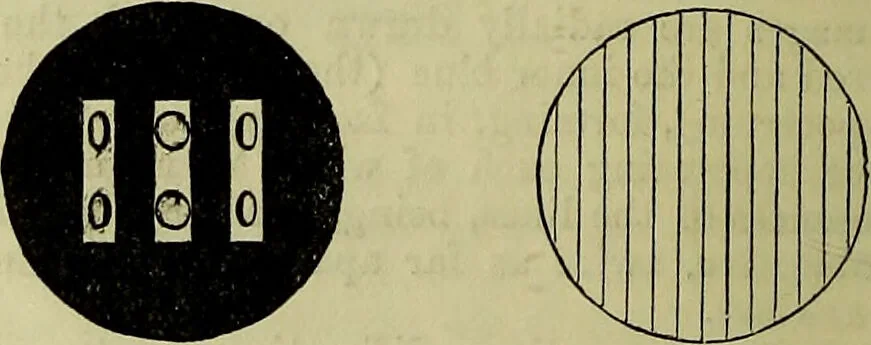 An illustration from The microscope : its history, construction, and application, being a familiar introduction to the use of the instrument, and the study of microscopical science / by Jabez Hogg ; with upwards of five hundred engravings, and coloured illustrations by Tuffen West., 1883, leaf 48