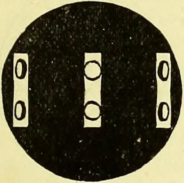 An illustration from The microscope : its history, construction, and application, being a familiar introduction to the use of the instrument, and the study of microscopical science / by Jabez Hogg ; with upwards of five hundred engravings, and coloured illustrations by Tuffen West., 1883, leaf 49