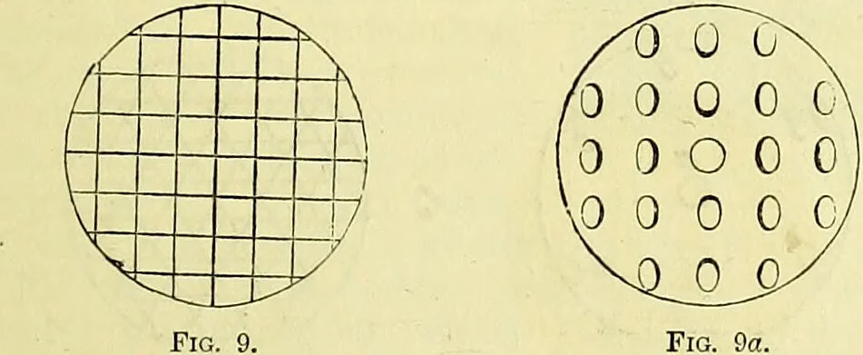 An illustration from The microscope : its history, construction, and application, being a familiar introduction to the use of the instrument, and the study of microscopical science / by Jabez Hogg ; with upwards of five hundred engravings, and coloured illustrations by Tuffen West., 1883, leaf 49