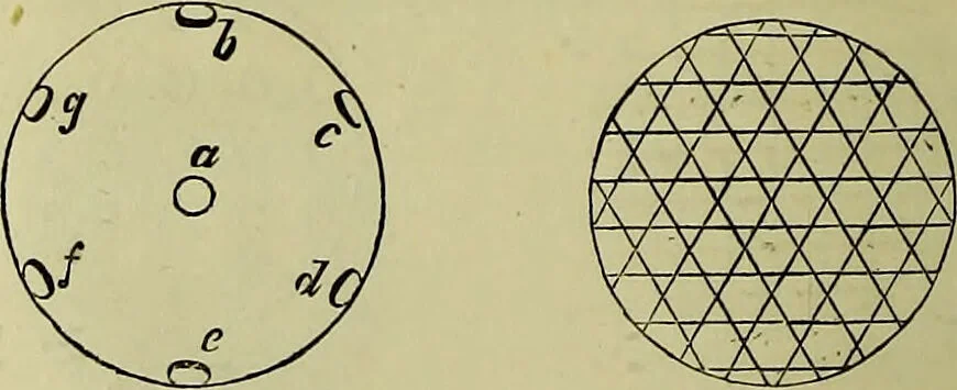 An illustration from The microscope : its history, construction, and application, being a familiar introduction to the use of the instrument, and the study of microscopical science / by Jabez Hogg ; with upwards of five hundred engravings, and coloured illustrations by Tuffen West., 1883, leaf 50