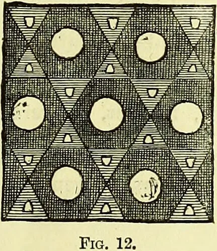 An illustration from The microscope : its history, construction, and application, being a familiar introduction to the use of the instrument, and the study of microscopical science / by Jabez Hogg ; with upwards of five hundred engravings, and coloured illustrations by Tuffen West., 1883, leaf 51