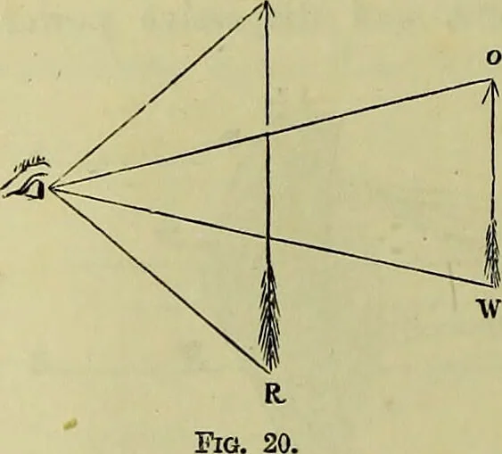 An illustration from The microscope : its history, construction, and application, being a familiar introduction to the use of the instrument, and the study of microscopical science / by Jabez Hogg ; with upwards of five hundred engravings, and coloured illustrations by Tuffen West., 1883, leaf 60