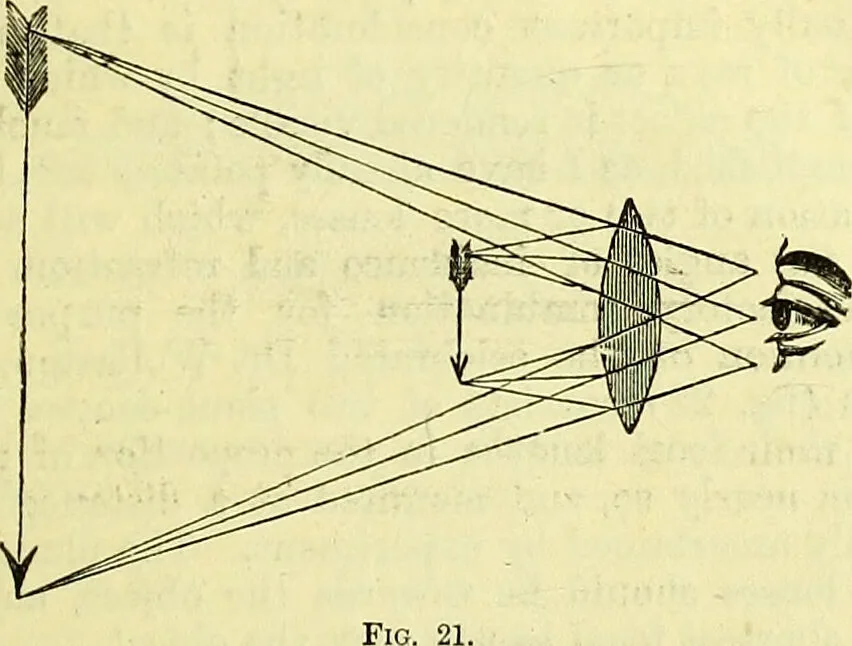 An illustration from The microscope : its history, construction, and application, being a familiar introduction to the use of the instrument, and the study of microscopical science / by Jabez Hogg ; with upwards of five hundred engravings, and coloured illustrations by Tuffen West., 1883, leaf 61