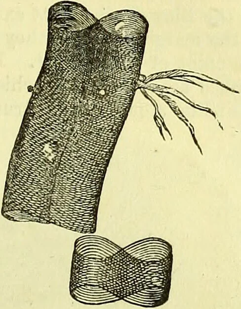 An illustration from The microscope : its history, construction, and application, being a familiar introduction to the use of the instrument, and the study of microscopical science / by Jabez Hogg ; with upwards of five hundred engravings, and coloured illustrations by Tuffen West., 1883, leaf 627