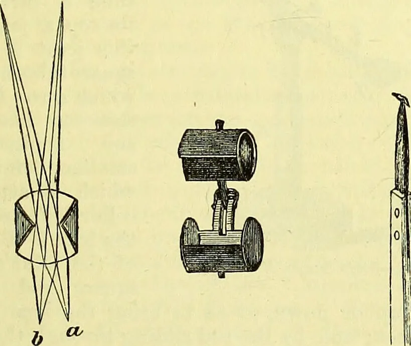 An illustration from The microscope : its history, construction, and application, being a familiar introduction to the use of the instrument, and the study of microscopical science / by Jabez Hogg ; with upwards of five hundred engravings, and coloured illustrations by Tuffen West., 1883, leaf 65