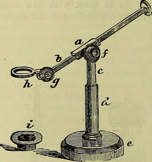 An illustration from The microscope : its history, construction, and application, being a familiar introduction to the use of the instrument, and the study of microscopical science / by Jabez Hogg ; with upwards of five hundred engravings, and coloured illustrations by Tuffen West., 1883, leaf 66