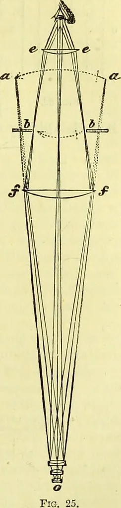 An illustration from The microscope : its history, construction, and application, being a familiar introduction to the use of the instrument, and the study of microscopical science / by Jabez Hogg ; with upwards of five hundred engravings, and coloured illustrations by Tuffen West., 1883, leaf 69