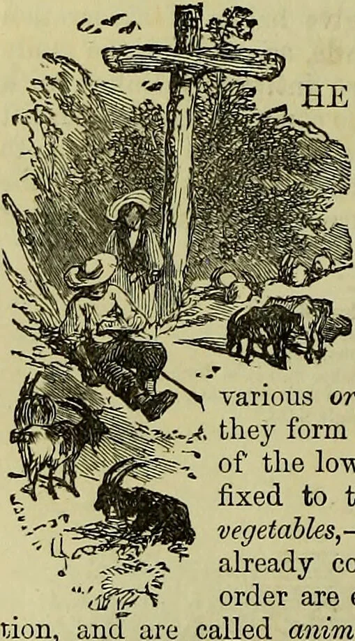 An illustration from The microscope : its history, construction, and application, being a familiar introduction to the use of the instrument, and the study of microscopical science / by Jabez Hogg ; with upwards of five hundred engravings, and coloured illustrations by Tuffen West., 1883, leaf 692