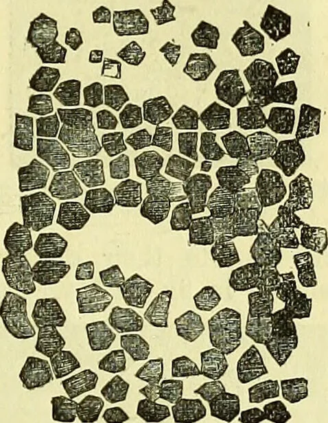 An illustration from The microscope : its history, construction, and application, being a familiar introduction to the use of the instrument, and the study of microscopical science / by Jabez Hogg ; with upwards of five hundred engravings, and coloured illustrations by Tuffen West., 1883, leaf 715